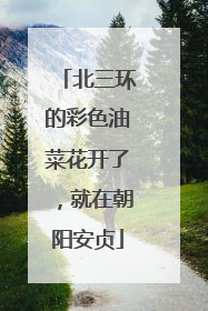 北三环的彩色油菜花开了，就在朝阳安贞