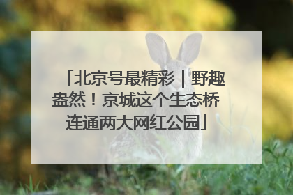 北京号最精彩｜野趣盎然！京城这个生态桥连通两大网红公园
