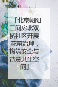 北京朝阳三间房北双桥社区开展花箱治理，构筑安全与诗意共生空间
