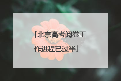 北京高考阅卷工作进程已过半