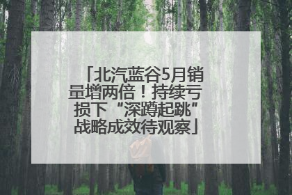北汽蓝谷5月销量增两倍！持续亏损下“深蹲起跳”战略成效待观察