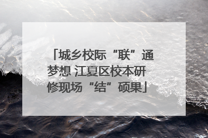 城乡校际“联”通梦想 江夏区校本研修现场“结”硕果