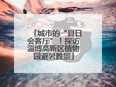 城市的“夏日会客厅”！探访淄博高新区植物园避暑胜景