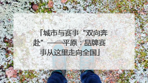 城市与赛事“双向奔赴”——平原：品牌赛事从这里走向全国