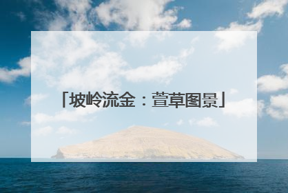 坡岭流金：萱草图景