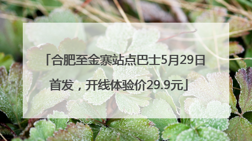 合肥至金寨站点巴士5月29日首发，开线体验价29.9元