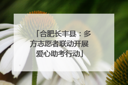 合肥长丰县：多方志愿者联动开展爱心助考行动