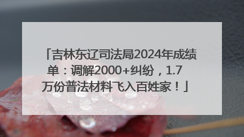 吉林东辽司法局2024年成绩单：调解2000+纠纷，1.7万份普法材料飞入百姓家！