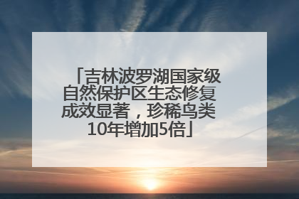 吉林波罗湖国家级自然保护区生态修复成效显著，珍稀鸟类10年增加5倍