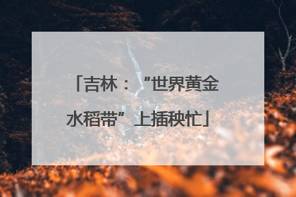 吉林：“世界黄金水稻带”上插秧忙
