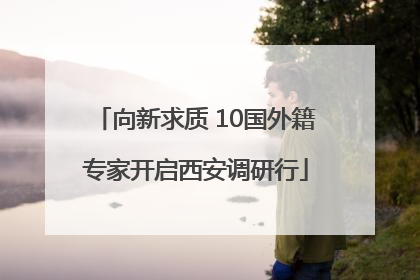 向新求质 10国外籍专家开启西安调研行