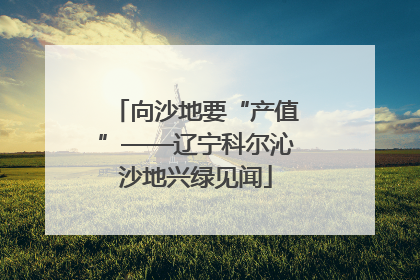 向沙地要“产值”——辽宁科尔沁沙地兴绿见闻