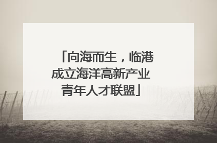 向海而生，临港成立海洋高新产业青年人才联盟