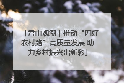 君山观潮｜推动“四好农村路”高质量发展 助力乡村振兴出新彩