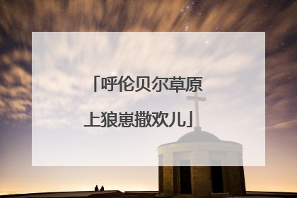 呼伦贝尔草原上狼崽撒欢儿