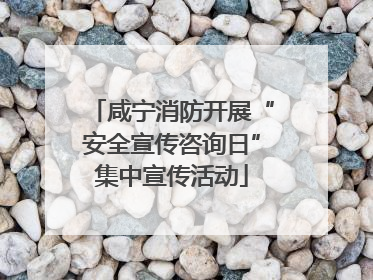 咸宁消防开展“安全宣传咨询日”集中宣传活动