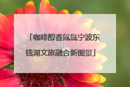咖啡醇香氤氲宁波东钱湖文旅融合新图景