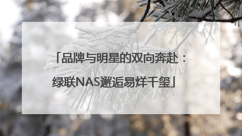 品牌与明星的双向奔赴：绿联NAS邂逅易烊千玺
