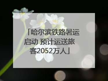 哈尔滨铁路暑运启动 预计运送旅客2052万人