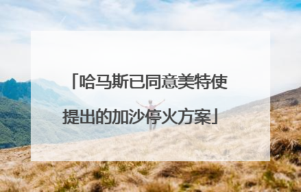 哈马斯已同意美特使提出的加沙停火方案