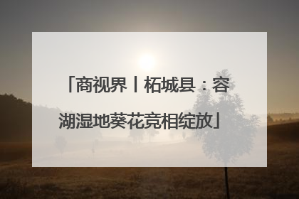 商视界丨柘城县：容湖湿地葵花竞相绽放
