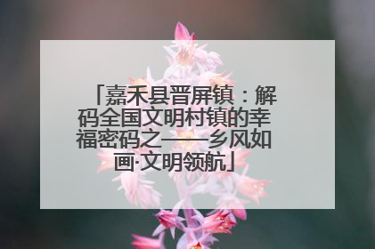 嘉禾县晋屏镇：解码全国文明村镇的幸福密码之——乡风如画·文明领航