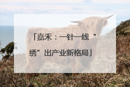 嘉禾：一针一线“绣”出产业新格局