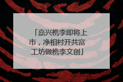 嘉兴槜李即将上市，净相村开共富工坊做槜李文创