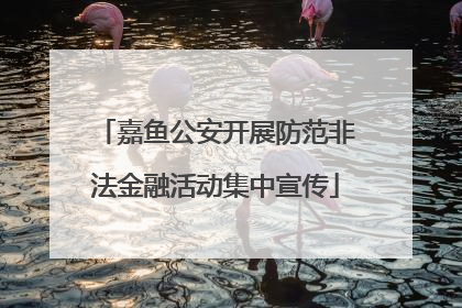 嘉鱼公安开展防范非法金融活动集中宣传