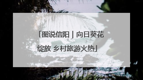 图说信阳｜向日葵花绽放 乡村旅游火热
