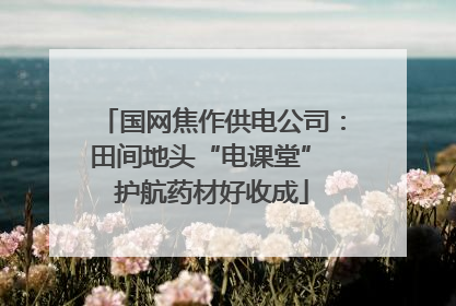 国网焦作供电公司：田间地头“电课堂” 护航药材好收成