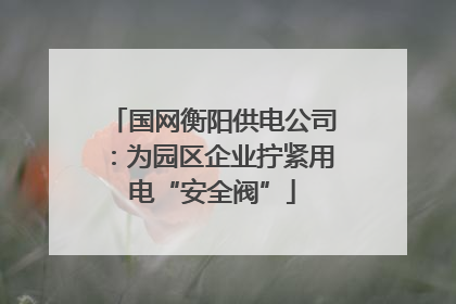 国网衡阳供电公司：为园区企业拧紧用电“安全阀”