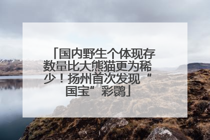 国内野生个体现存数量比大熊猫更为稀少！扬州首次发现“国宝”彩鹮