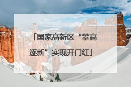 国家高新区“攀高逐新”实现开门红