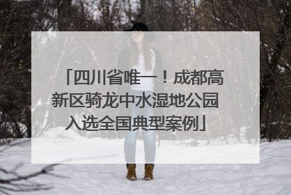 四川省唯一！成都高新区骑龙中水湿地公园入选全国典型案例