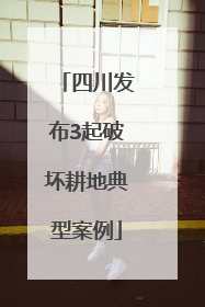 四川发布3起破坏耕地典型案例