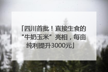 四川首批！直接生食的“牛奶玉米”亮相，每亩纯利提升3000元