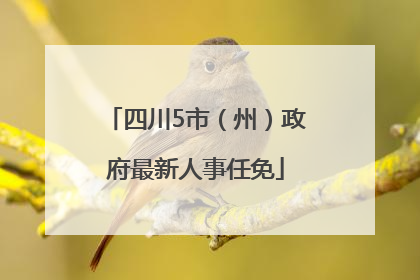 四川5市（州）政府最新人事任免