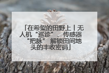 在希望的田野上丨无人机“巡诊”、传感器“把脉” 解锁田间地头的丰收密码