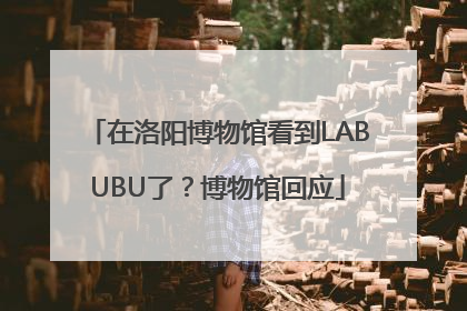在洛阳博物馆看到LABUBU了？博物馆回应