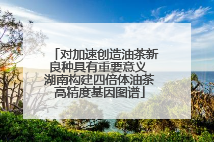 对加速创造油茶新良种具有重要意义 湖南构建四倍体油茶高精度基因图谱