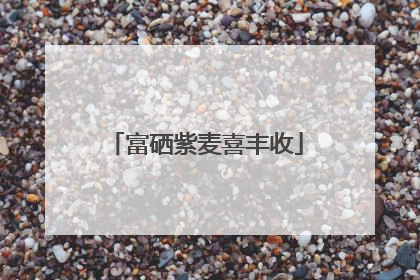 富硒紫麦喜丰收
