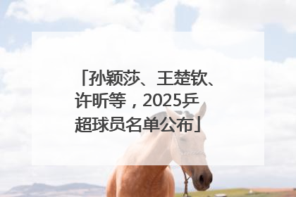 孙颖莎、王楚钦、许昕等，2025乒超球员名单公布