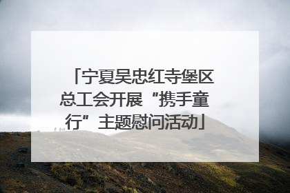 宁夏吴忠红寺堡区总工会开展“携手童行”主题慰问活动