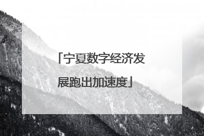 宁夏数字经济发展跑出加速度
