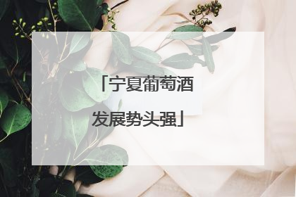 宁夏葡萄酒发展势头强