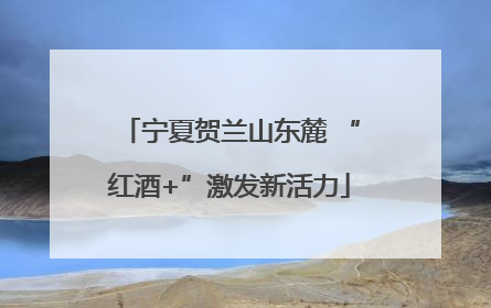 宁夏贺兰山东麓 “红酒+”激发新活力