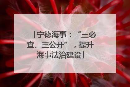 宁德海事：“三必查、三公开”，提升海事法治建设