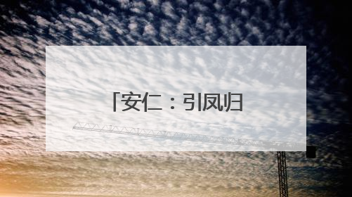 安仁：引凤归巢结硕果 产业兴旺促发展