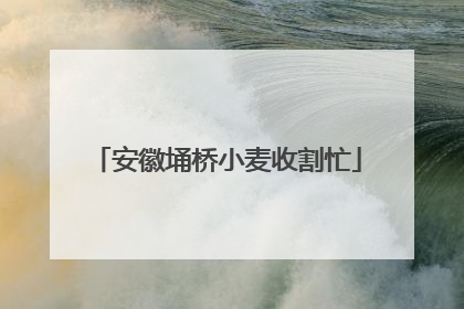 安徽埇桥小麦收割忙